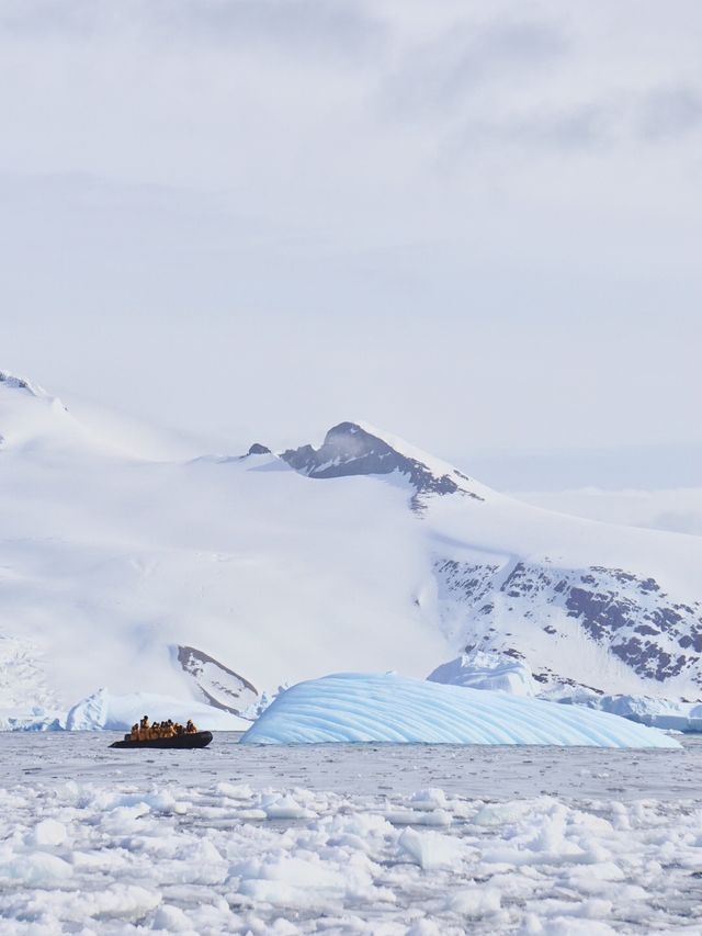 Cruising the Kingdom of Ice 