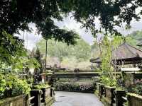 Campuhan Ridge Walk in Bali