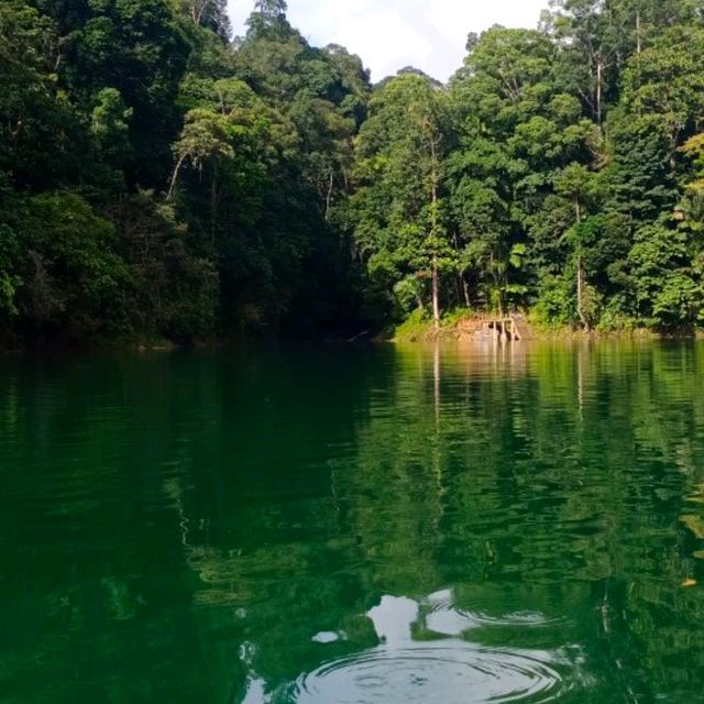 A nature to embrace