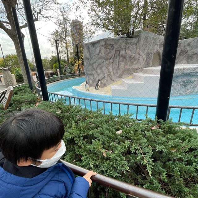 東京親子行程推介🎉上野動物園