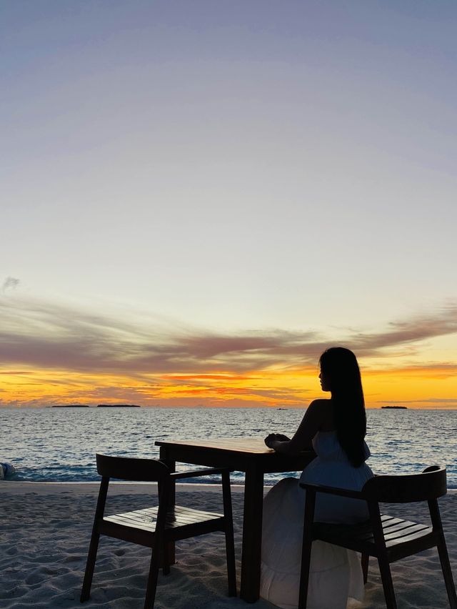 환상의 섬, 꿈의 신혼여행지인 천국 몰디브🇲🇻🏝️