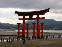 Miyajima and deers of God