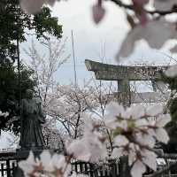 【福岡】桜百選西公園にある光雲神社参拝