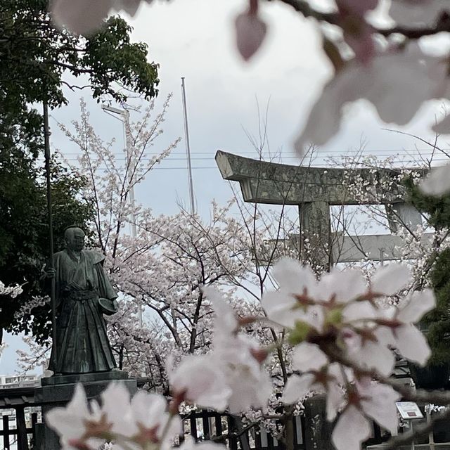 【福岡】桜百選西公園にある光雲神社参拝