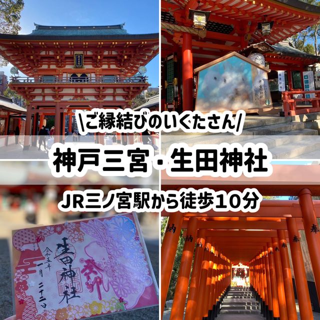 神戸！「生田神社」ご縁結びのいくたさん