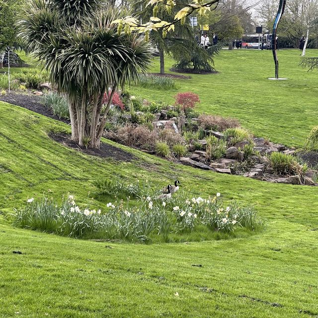 英國薩里大學🦌 University of Surrey