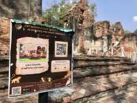 บ้านหลวงรับราชทูต หรือ บ้านวิชาเยนทร์