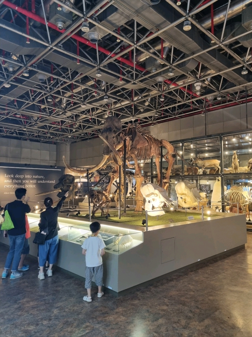 Our country's representative science museum