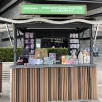 LINE FRIENDS 龍舟主題🛶期間限定店