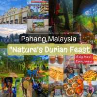 "Durian Temptations: Day trip fr KL to Pahang