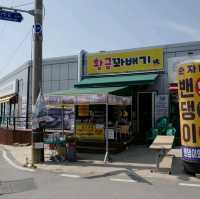 인천여행 강화 교동도 대룡시장