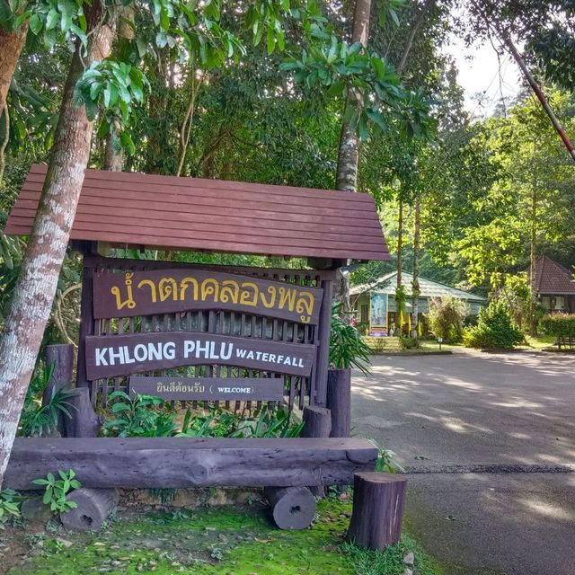 เดินชิลชมป่า ขึ้นน้ำตกคลองพลู