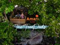 The TreePods Amari Phuket ปิคนิคบนต้นไม้