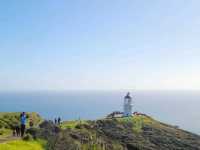 뉴질랜드의 최북단 Cape Reinga