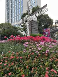 Flower trade market in Shenzhen 🌺🌸💐🧺🌷