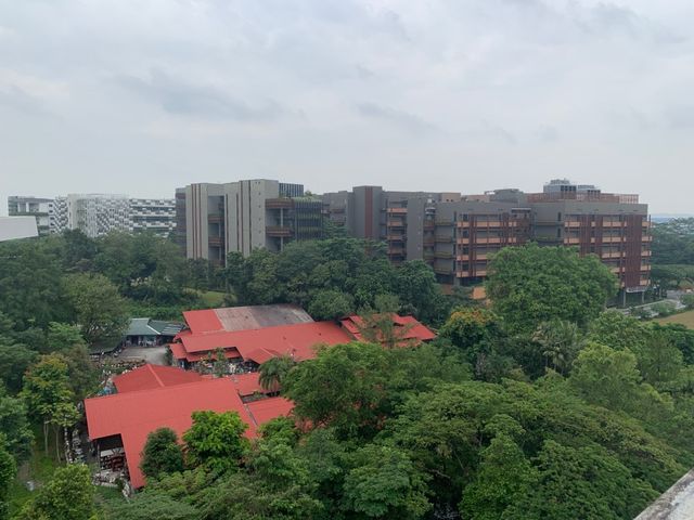 Surbana Jurong Campus Roof Garden