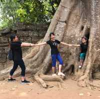 Ta Phrom Temple - Siem Reap