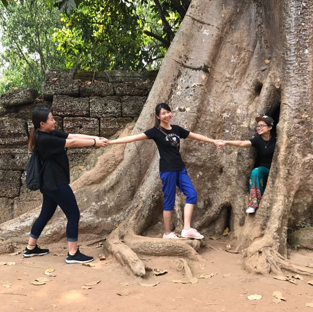 Ta Phrom Temple - Siem Reap