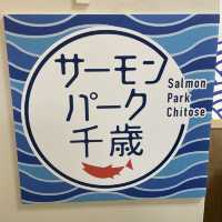 【北海道】道の駅サーモンパーク千歳の館内！