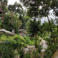 Wat Pha Lat Hike (Monk's trail)