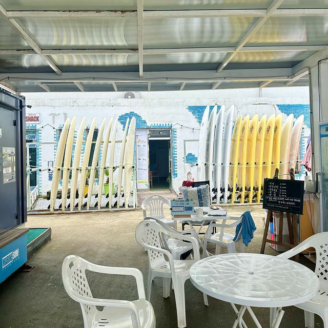 가을에도 즐기기 좋은 서핑🏄🏻‍♀️