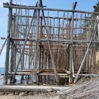 【日本 福岡】糸島観光スポット！お塩製造所