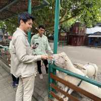 Dutch atmosphere farm house Lembang