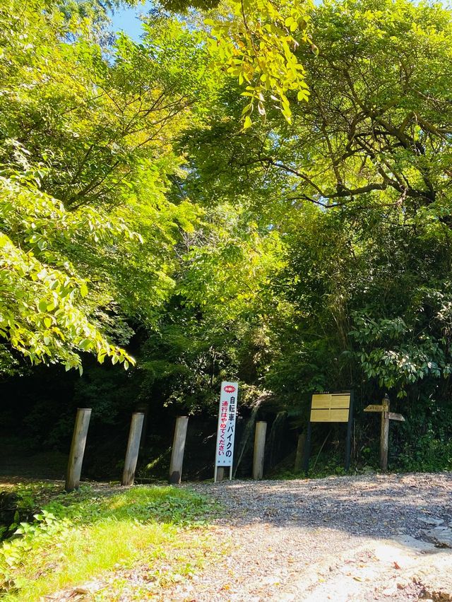 Asaina Kiridoshi Pass - Kumano Shrine 