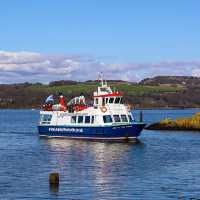 Inchcolm Island🏖️ 鳥語花香海島