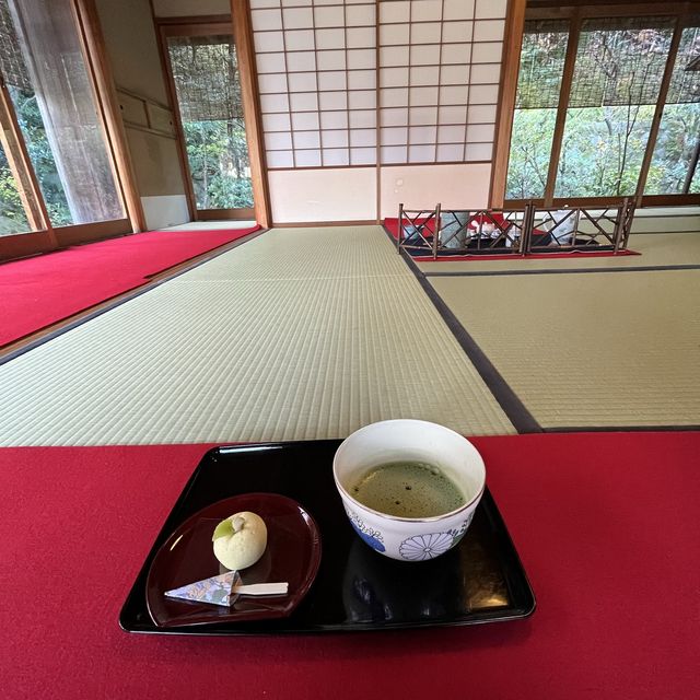 藤井聡太さんが八冠を成し遂げた茶室