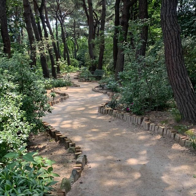 모네의 정원에 들어온 듯한 아름다운 수목원 