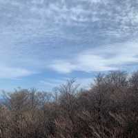 楓葉滿山的美景