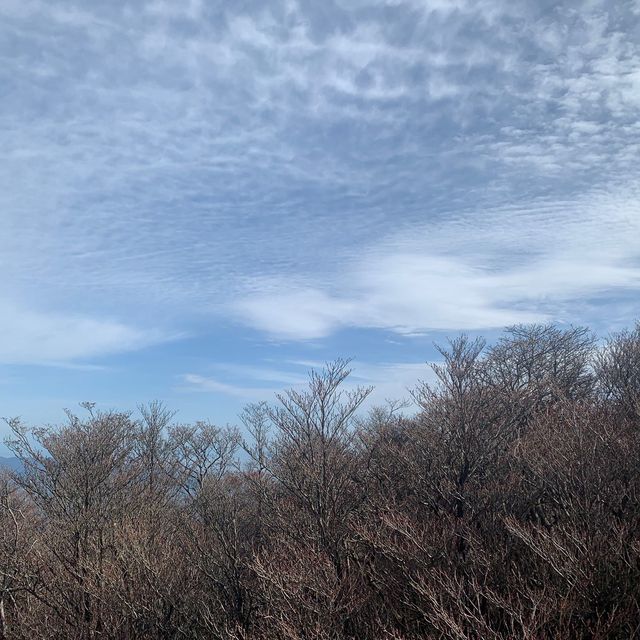 楓葉滿山的美景