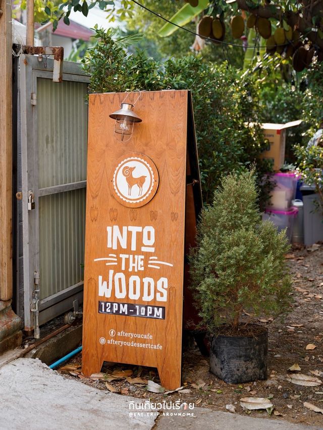⛺️🪜After You - Into the Woods