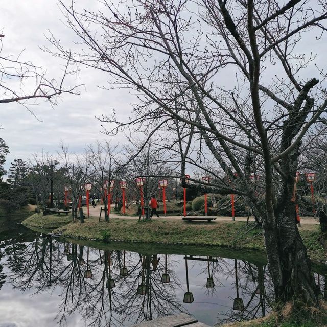 Beautiful park with around 3k sakura trees