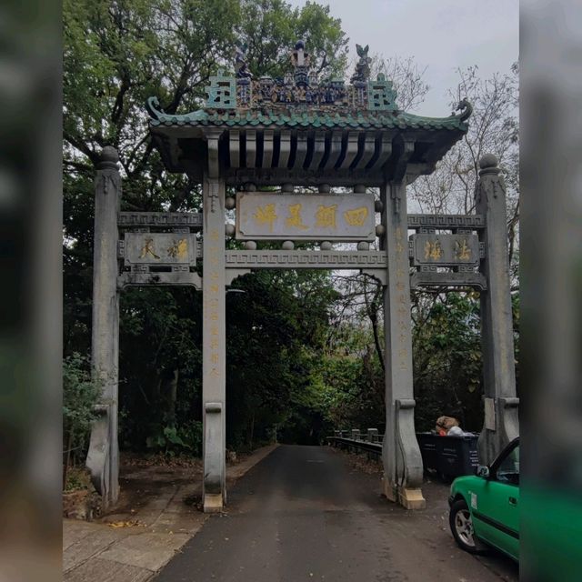 莫說青山多障礙~風也急風也勁😂
