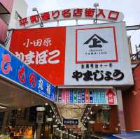 距離東京40分鐘的溫泉之鄉