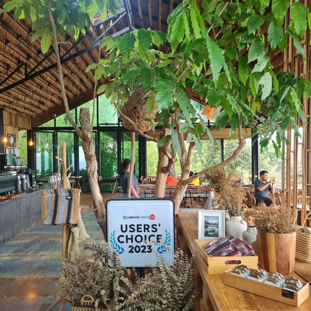 yayo farm