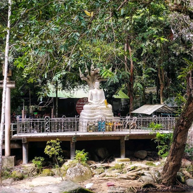 วัดท่ามกลางธรรมชาติ