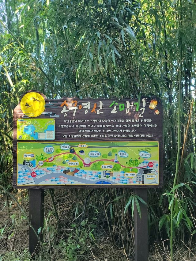 달빛갤러리와 일제강점기 우물이 있는 거제 소망의길✨️