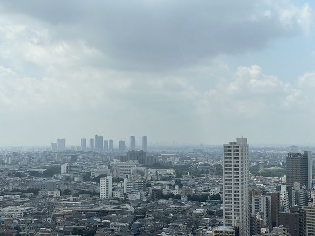 東京・三軒茶屋。無料で地上126mから都心や東京タワーの夜景も楽しめる『スカイキャロット展望ロビー』