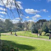 York Museum Gardens