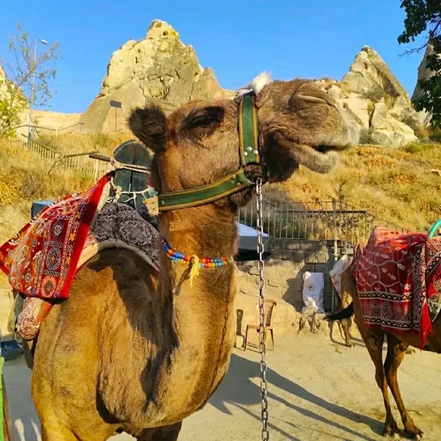 @ GOREME OPEN AIR MUSEUM IN CAPPADOCIA!