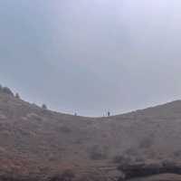 제주도 바람을 여기서 다느꼈다