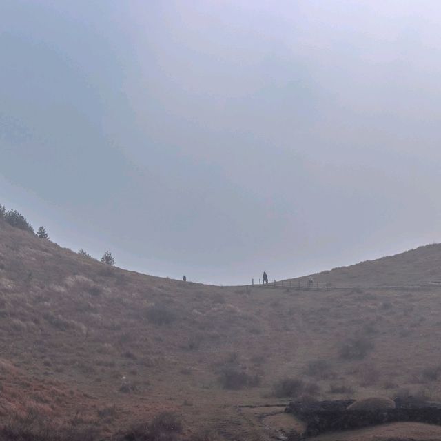 제주도 바람을 여기서 다느꼈다