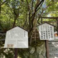 【京都府】源氏物語にも登場する野宮神社へ