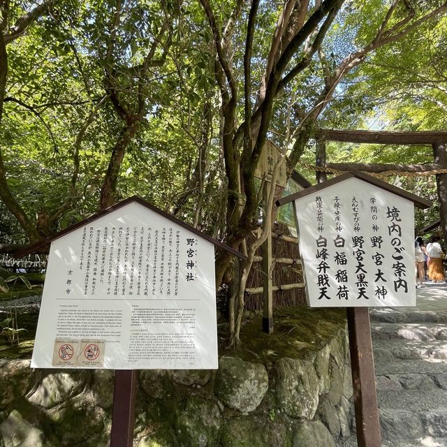 【京都府】源氏物語にも登場する野宮神社へ