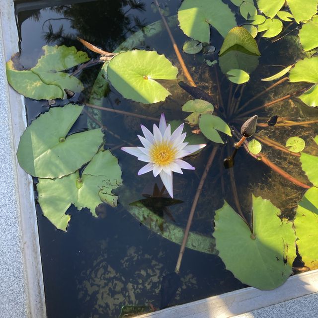 天壇大佛