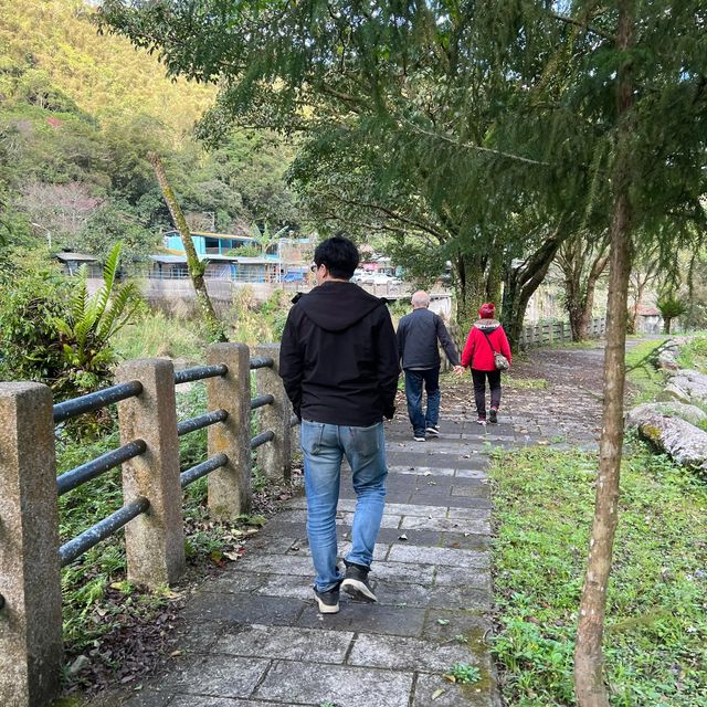 五重溪瀑布到福山部落 烏來走春
