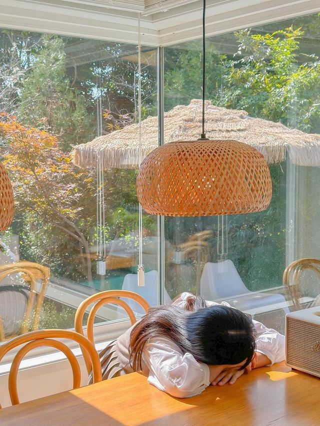 올 가을 채이네로 놀러오세요🤎, 오늘의 우리 집🏠